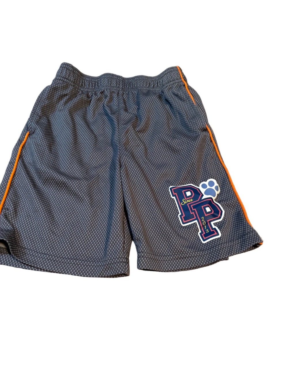 Grey Paw Patrol Shorts Size 6 Boys
